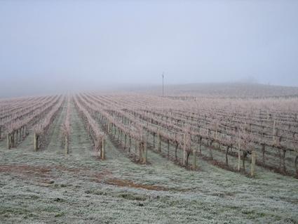Vineyard Cottage BnB Gumeracha Dış mekan fotoğraf