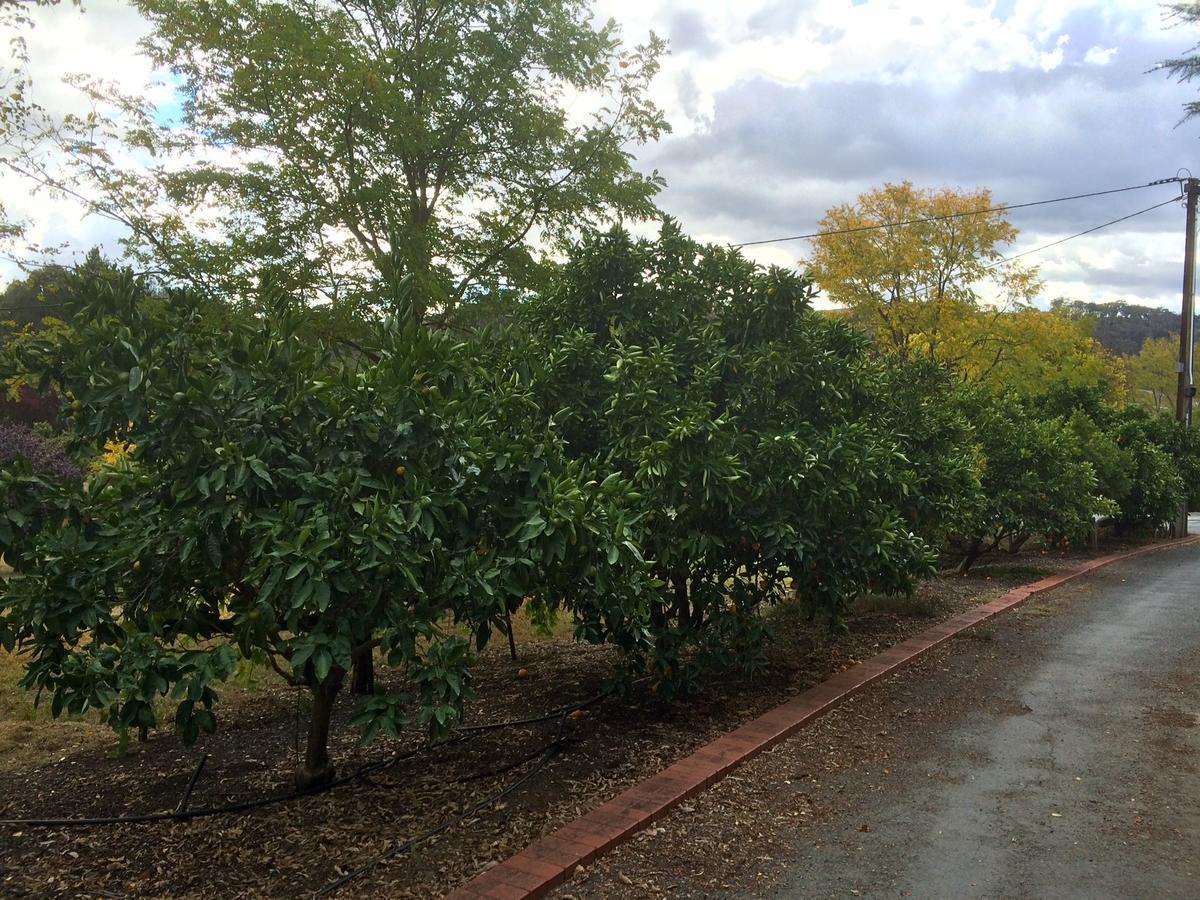 Vineyard Cottage BnB Gumeracha Dış mekan fotoğraf